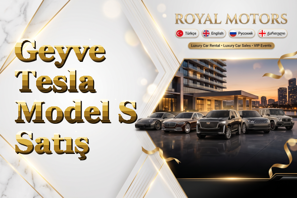 Geyve Tesla Model S Satış