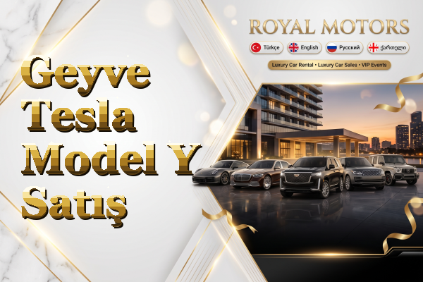 Geyve Tesla Model Y Satış