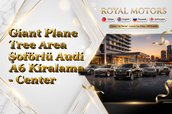 Giant Plane Tree Area Şoförlü Audi A6 Kiralama - Center