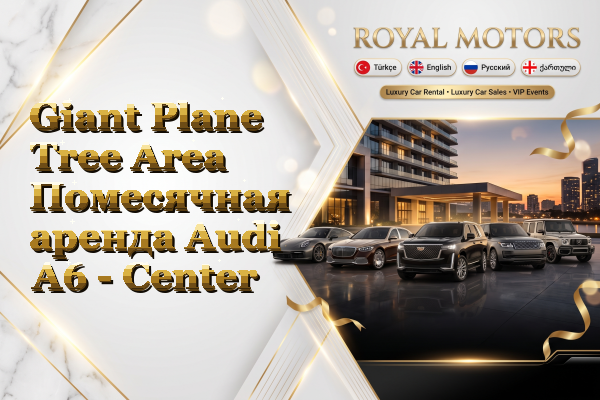 Giant Plane Tree Area Помесячная аренда Audi A6 - Center