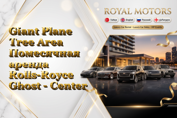 Giant Plane Tree Area Помесячная аренда Rolls-Royce Ghost - Center