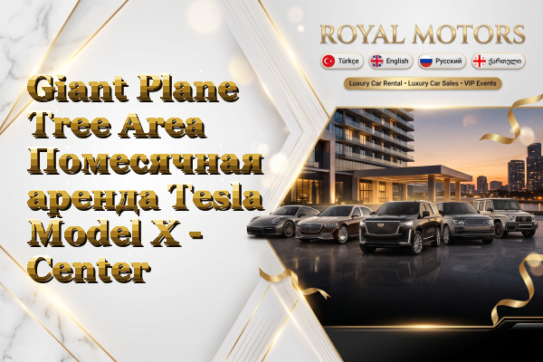 Giant Plane Tree Area Помесячная аренда Tesla Model X - Center