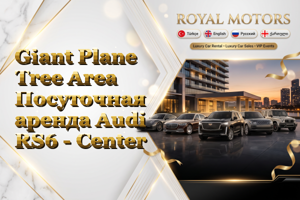 Giant Plane Tree Area Посуточная аренда Audi RS6 - Center
