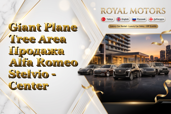 Giant Plane Tree Area Продажа Alfa Romeo Stelvio - Center