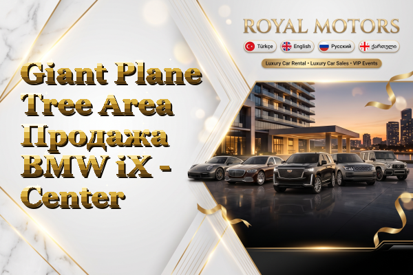 Giant Plane Tree Area Продажа BMW iX - Center