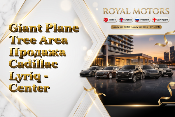 Giant Plane Tree Area Продажа Cadillac Lyriq - Center
