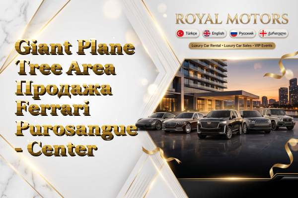 Giant Plane Tree Area Продажа Ferrari Purosangue - Center