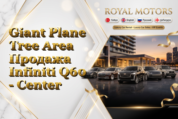 Giant Plane Tree Area Продажа Infiniti Q60 - Center