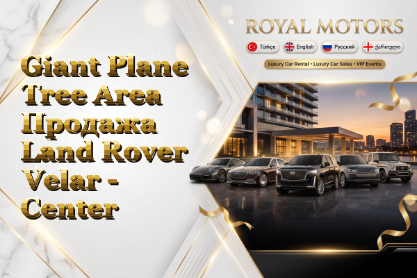Giant Plane Tree Area Продажа Land Rover Velar - Center