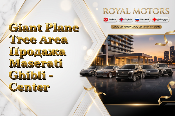 Giant Plane Tree Area Продажа Maserati Ghibli - Center