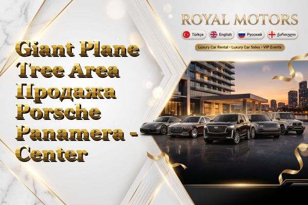 Giant Plane Tree Area Продажа Porsche Panamera - Center