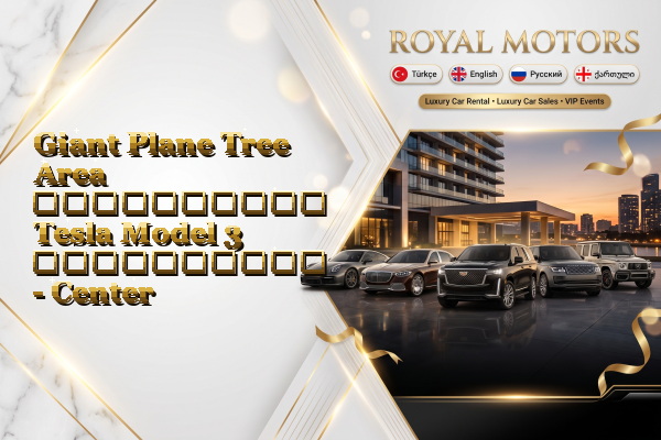 Giant Plane Tree Area აეროპორტის Tesla Model 3 გაქირავება - Center