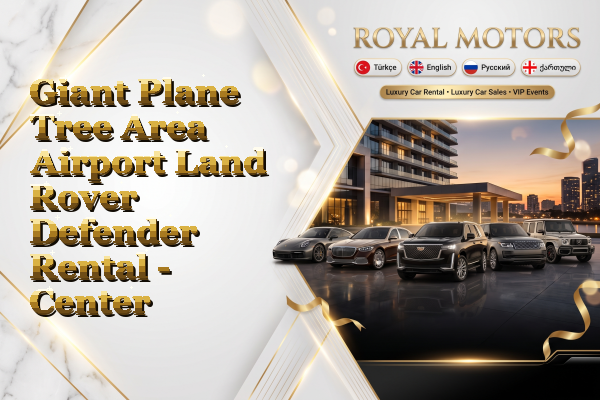 Giant Plane Tree Area Airport Land Rover Defender Rental - Center