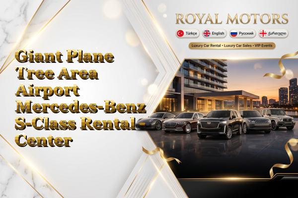 Giant Plane Tree Area Airport Mercedes-Benz S-Class Rental - Center