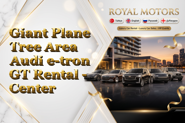 Giant Plane Tree Area Audi e-tron GT Rental - Center
