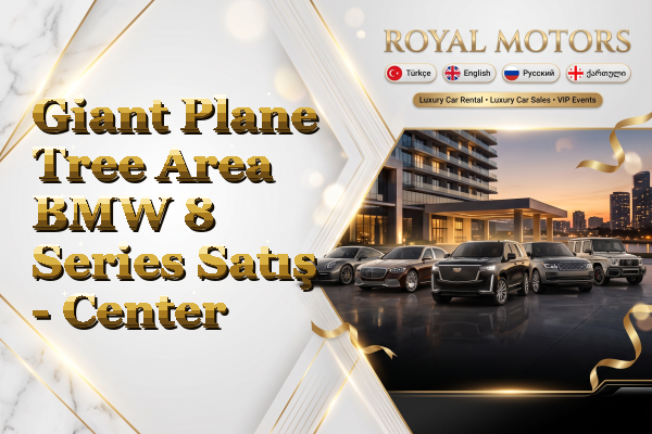 Giant Plane Tree Area BMW 8 Series Satış - Center