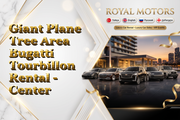 Giant Plane Tree Area Bugatti Tourbillon Rental - Center