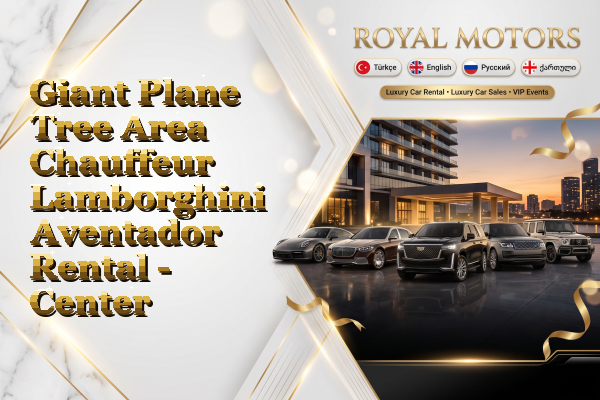Giant Plane Tree Area Chauffeur Lamborghini Aventador Rental - Center