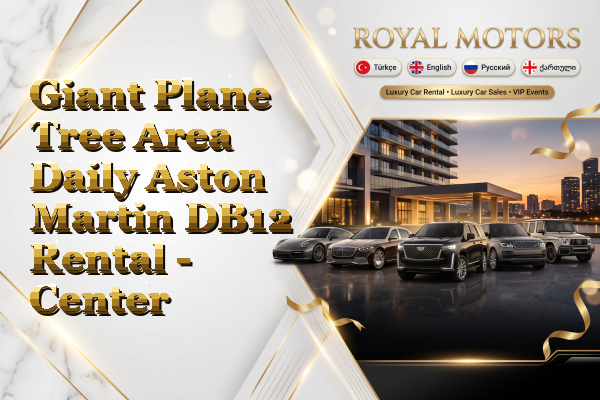 Giant Plane Tree Area Daily Aston Martin DB12 Rental - Center