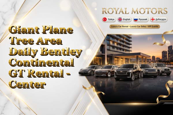 Giant Plane Tree Area Daily Bentley Continental GT Rental - Center