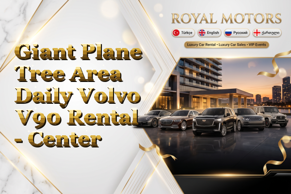 Giant Plane Tree Area Daily Volvo V90 Rental - Center