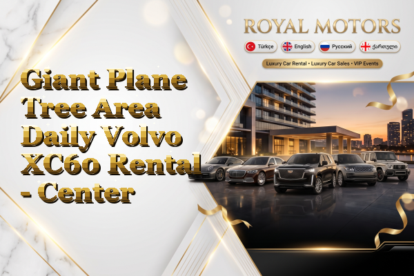 Giant Plane Tree Area Daily Volvo XC60 Rental - Center