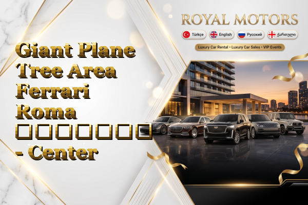 Giant Plane Tree Area Ferrari Roma გაყიდვა - Center