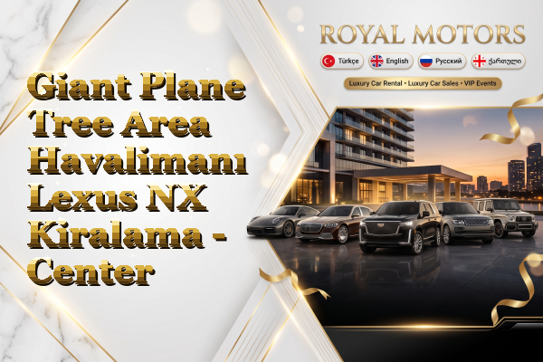Giant Plane Tree Area Havalimanı Lexus NX Kiralama - Center
