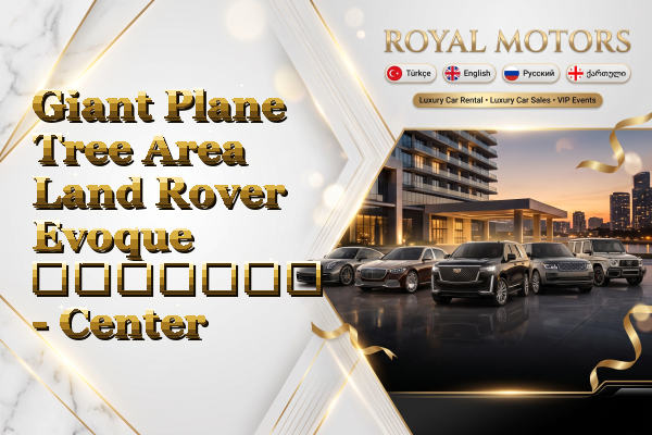 Giant Plane Tree Area Land Rover Evoque გაყიდვა - Center