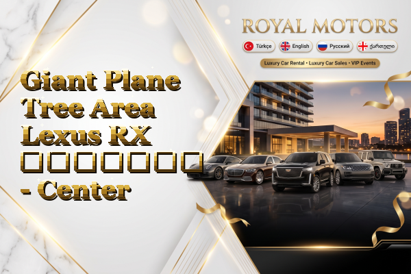 Giant Plane Tree Area Lexus RX გაყიდვა - Center