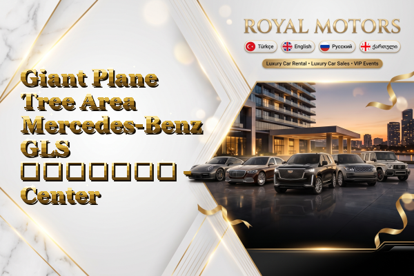 Giant Plane Tree Area Mercedes-Benz GLS გაყიდვა - Center