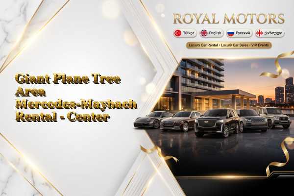Giant Plane Tree Area Mercedes-Maybach Rental - Center