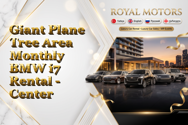 Giant Plane Tree Area Monthly BMW i7 Rental - Center