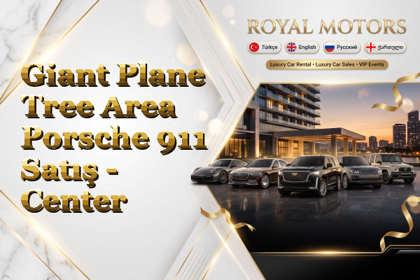 Giant Plane Tree Area Porsche 911 Satış - Center