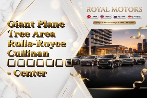 Giant Plane Tree Area Rolls-Royce Cullinan გაყიდვა - Center