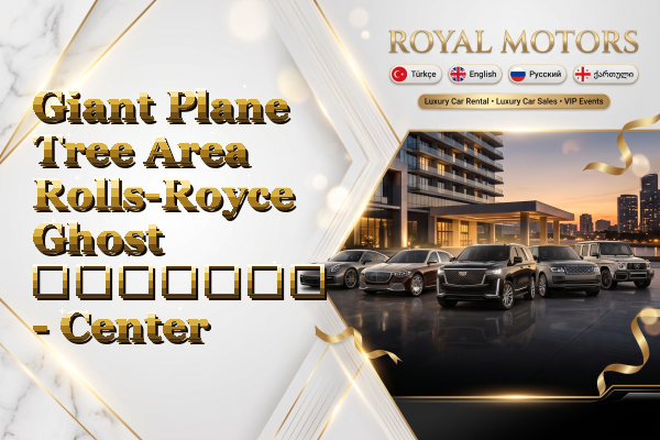 Giant Plane Tree Area Rolls-Royce Ghost გაყიდვა - Center