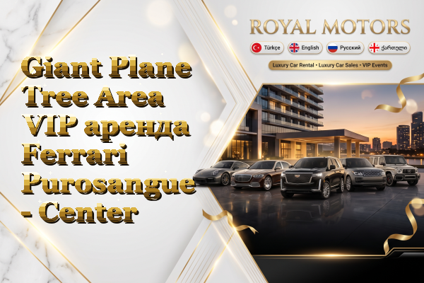 Giant Plane Tree Area VIP аренда Ferrari Purosangue - Center