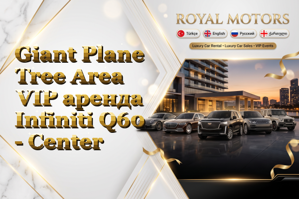 Giant Plane Tree Area VIP аренда Infiniti Q60 - Center