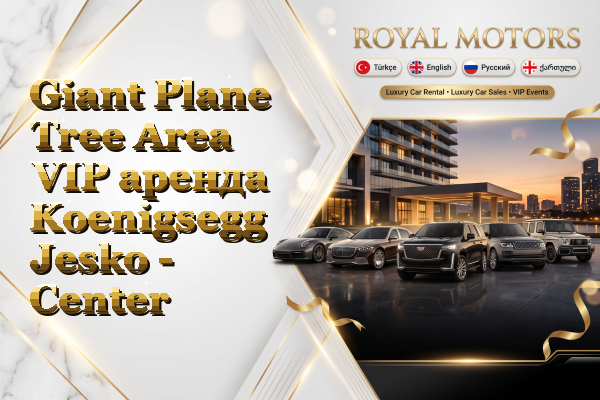 Giant Plane Tree Area VIP аренда Koenigsegg Jesko - Center