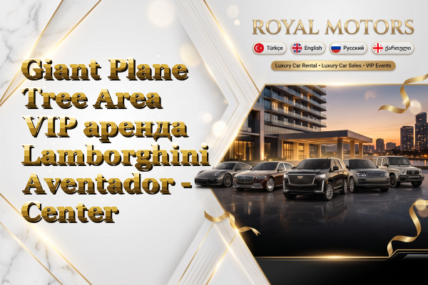 Giant Plane Tree Area VIP аренда Lamborghini Aventador - Center