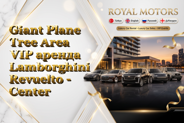 Giant Plane Tree Area VIP аренда Lamborghini Revuelto - Center