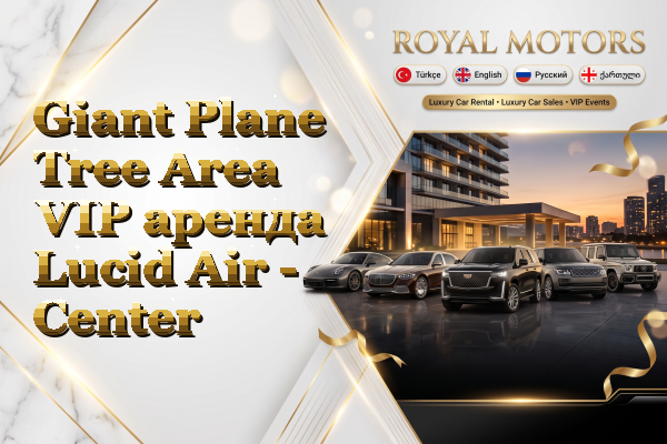 Giant Plane Tree Area VIP аренда Lucid Air - Center