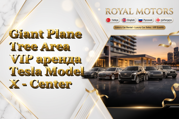 Giant Plane Tree Area VIP аренда Tesla Model X - Center