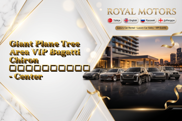 Giant Plane Tree Area VIP Bugatti Chiron გაქირავება - Center