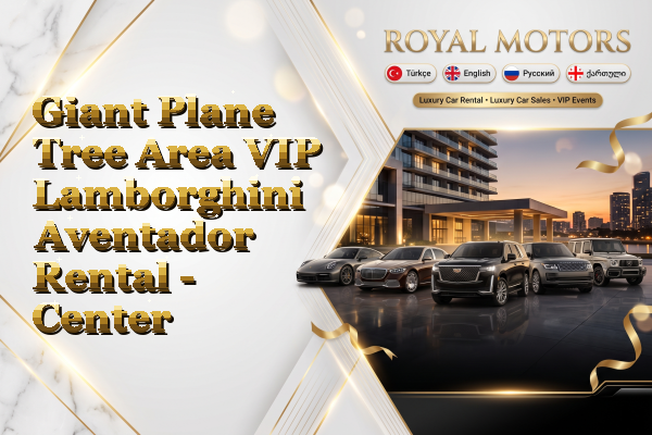 Giant Plane Tree Area VIP Lamborghini Aventador Rental - Center