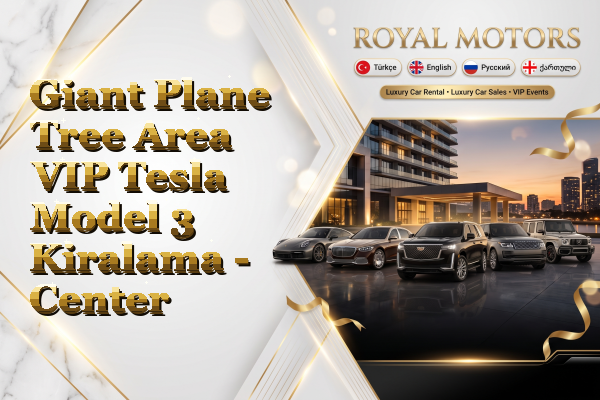 Giant Plane Tree Area VIP Tesla Model 3 Kiralama - Center