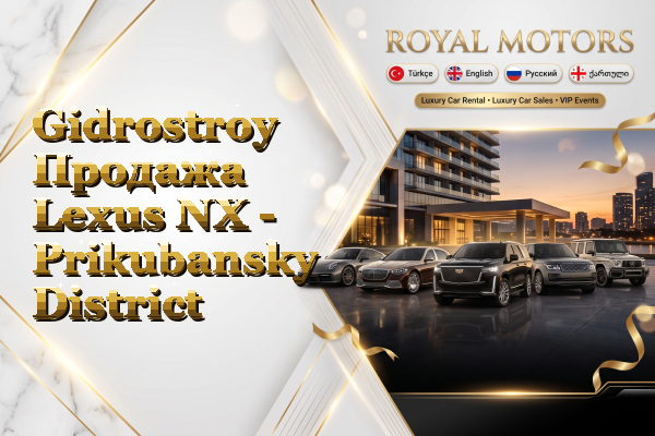 Gidrostroy Продажа Lexus NX - Prikubansky District