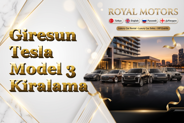 Giresun Tesla Model 3 Kiralama