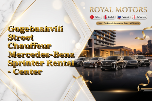 Gogebashvili Street Chauffeur Mercedes-Benz Sprinter Rental - Center