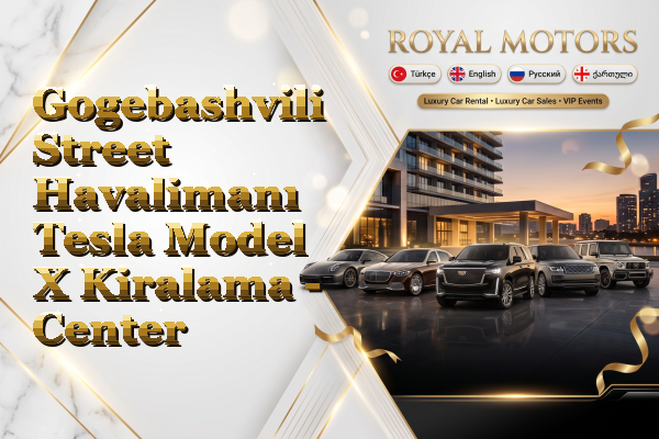 Gogebashvili Street Havalimanı Tesla Model X Kiralama - Center